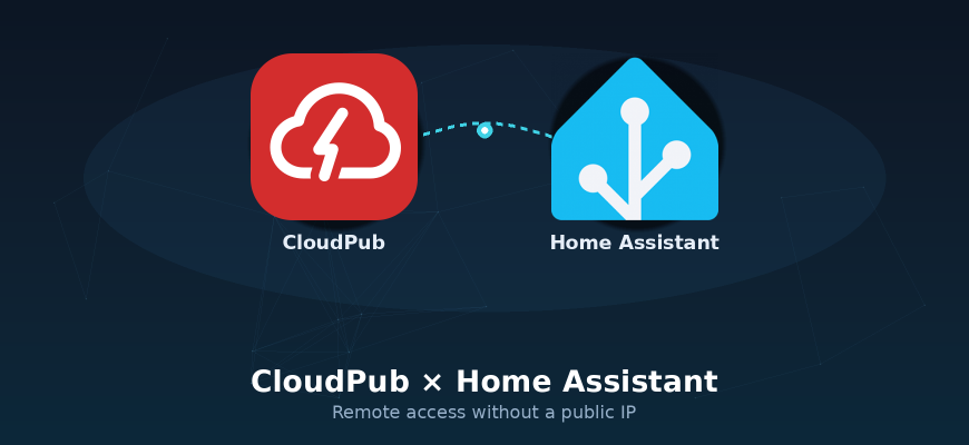 CloudPub and Home Assistant — remote access without a public IP